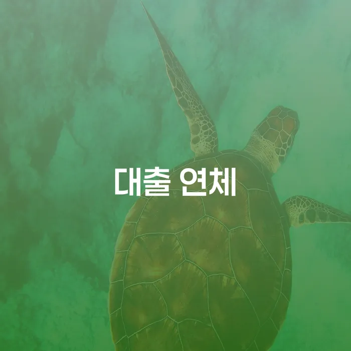 빚갚는방법 개인회생 처리방법 지식을