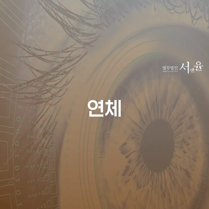 개인파산 개인회생으로 해결방법 검토하여