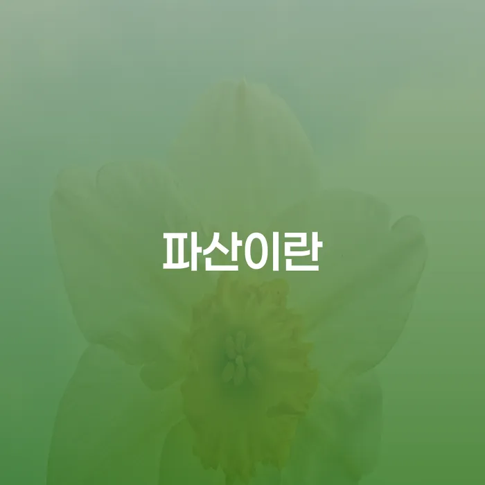 개인회생생계비 빚갚는 방법 적정한