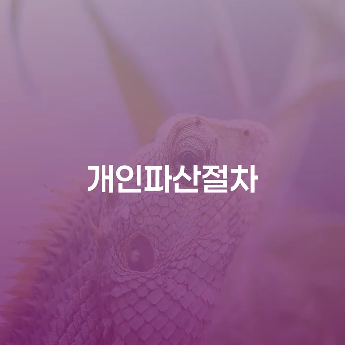 개인회생사무실 개인파산 빨리신청해야하는