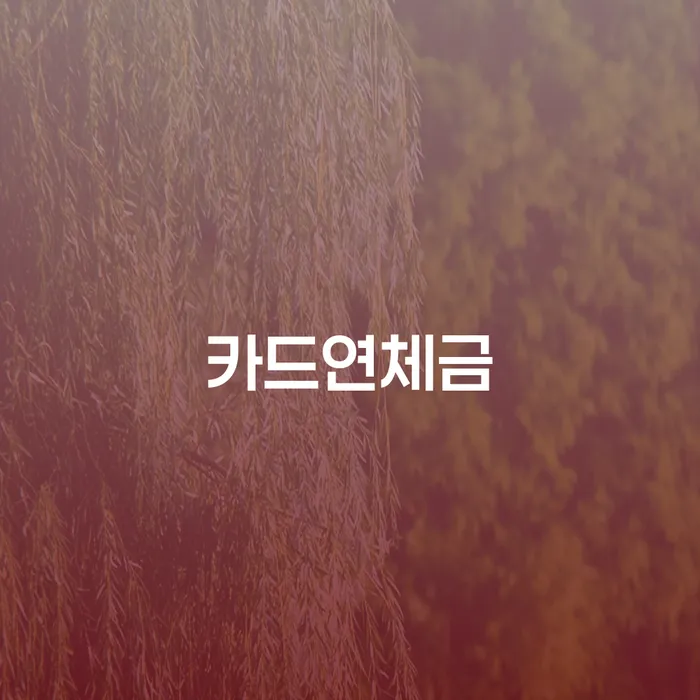 개인회생통장압류 개인회생으로 해결 잘하는 곳