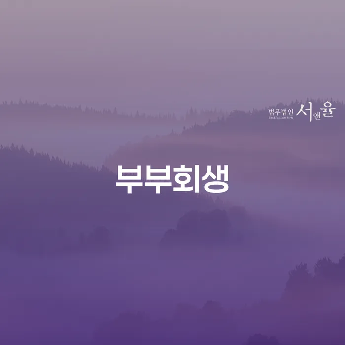 소액대출 연체 시 개인회생으로 방법 잘 하는 법무법인