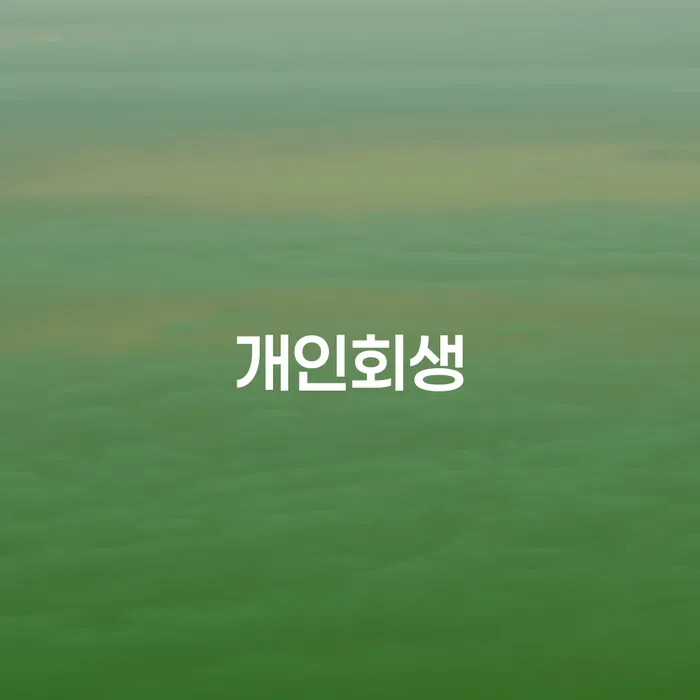 괴산군 도산전문변호사 개인회생 알아보려면