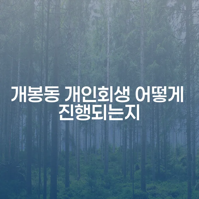 개봉동 개인회생 어떻게 진행되는지