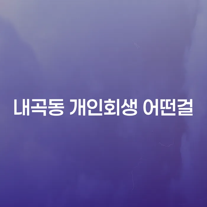 내곡동 개인회생 어떤걸