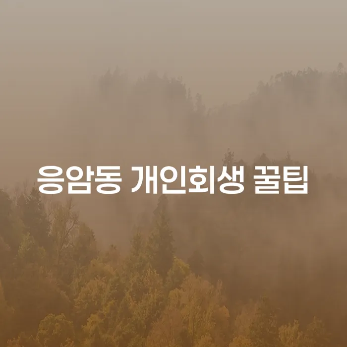 응암동 개인회생 꿀팁