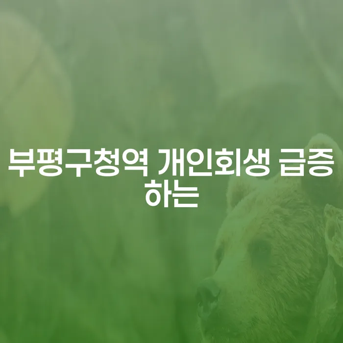 부평구청역 개인회생 급증하는