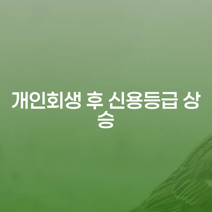 개인회생 후 신용등급 상승, 어떻게 가능할까요?