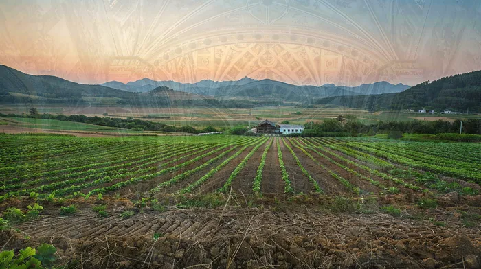 신용회복위원회