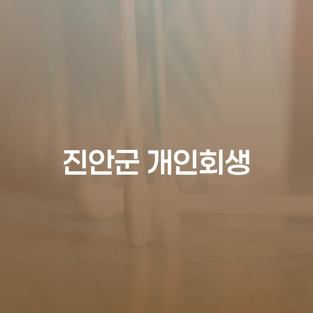 진안군 개인회생의 필요성과 절차