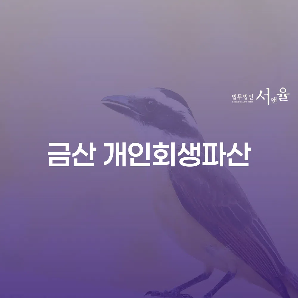 금산 개인회생파산 절차와 사례, 흔한 실수 피하기