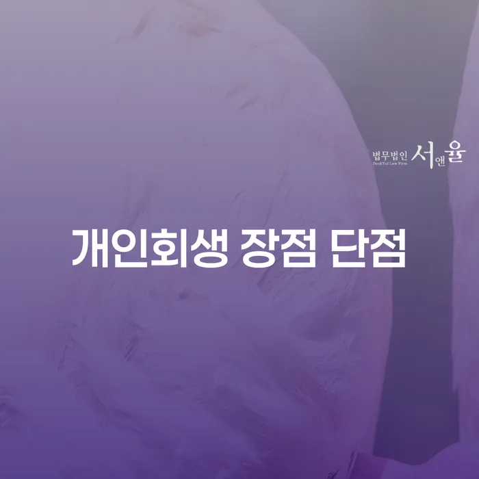 노량진2동 개인회생의 장점과 단점 이해하기
