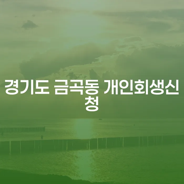 경기도 금곡동에서 개인회생신청을 어떻게 할까요?