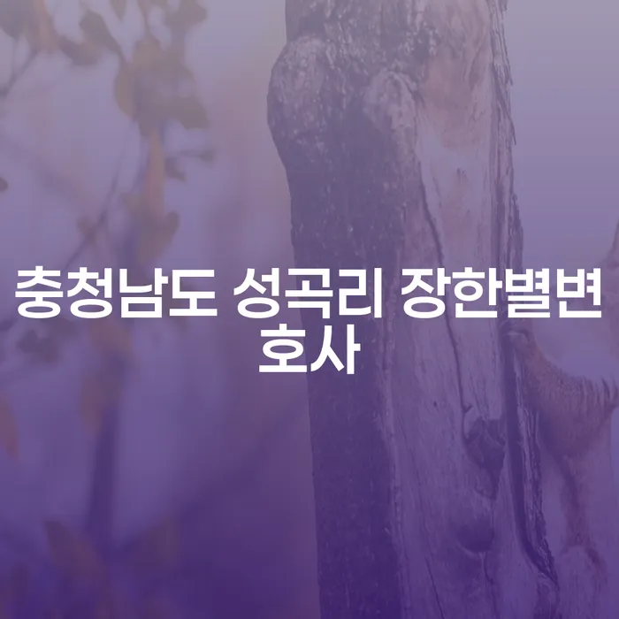 충청남도 성곡리에서 장한별 변호사와 함께 채무 문제를 해결하는 방법은?